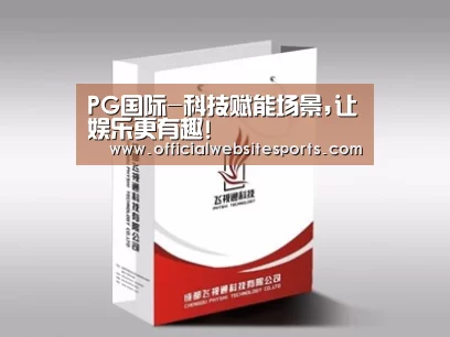 项目名称十三