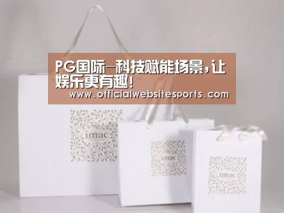 项目名称十一