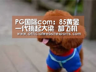 PG国际com官网