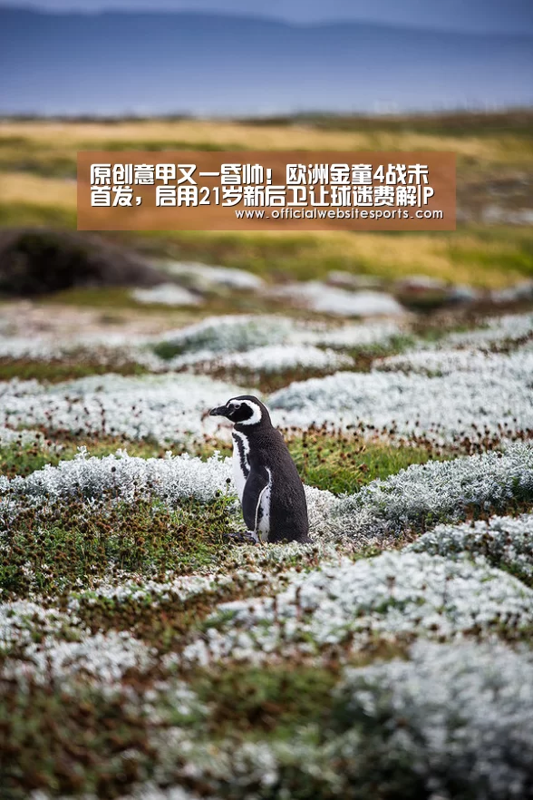 原创意甲又一昏帅!欧洲金童4战未首发,启用21岁新后卫让球迷费解|PG国际com官网(图2) PG国际
