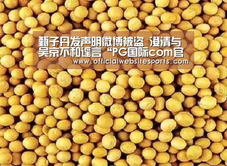 PG国际com官网